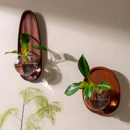 DecorBites™ Glass Vase Flowerpot Wall Decoration for Home Décor and Hydroponics