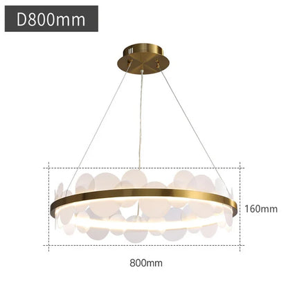 DecorBites™ Acrylic Ceiling Chandelier Modern Home Decor Hanging Lamp Indoor Lighting