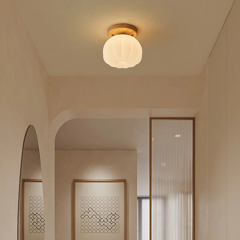 DecorBites™ LED Modern Ceiling Light for Living Room Balcony, Nordic Style Indoor Lighting Fixtures