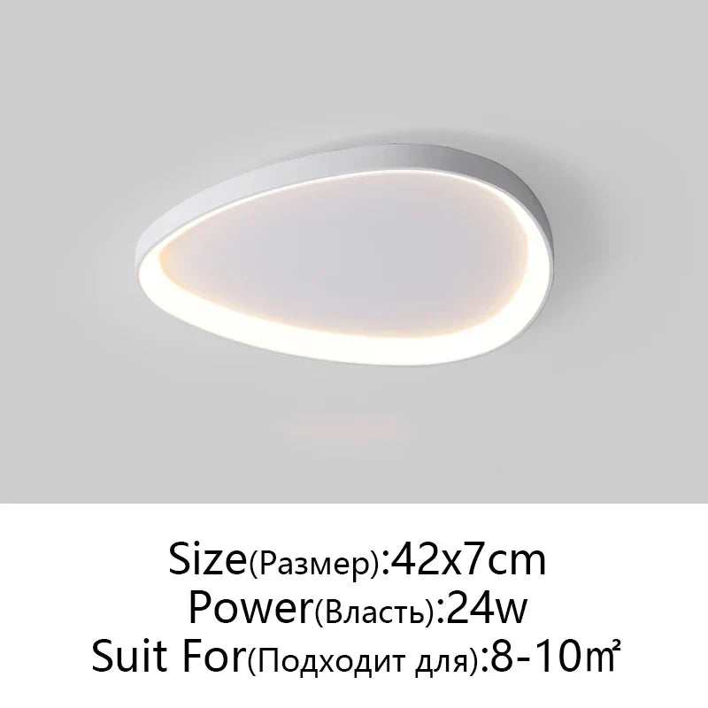 Modern LED Ceiling Fixture