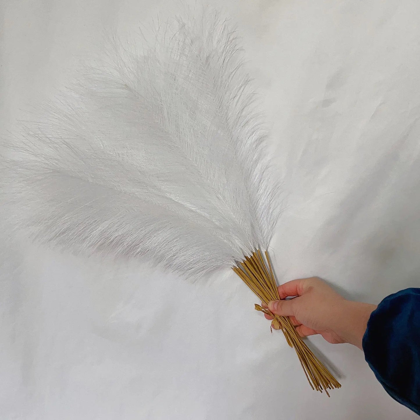 DecorBites™ Fluffy Pampas Grass Boho Decor Pampas Grass.