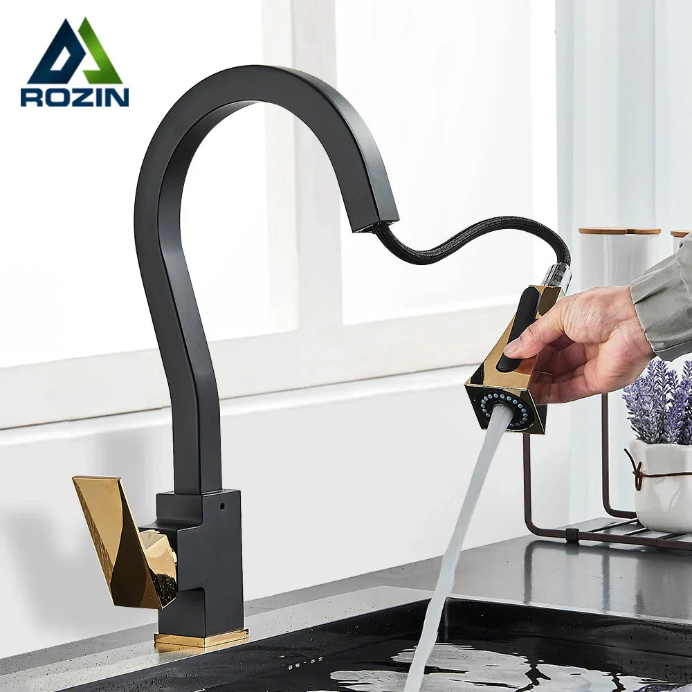 DecorBites™ Black Gold Kitchen Faucet with Flexible Pull Down Sprayer
