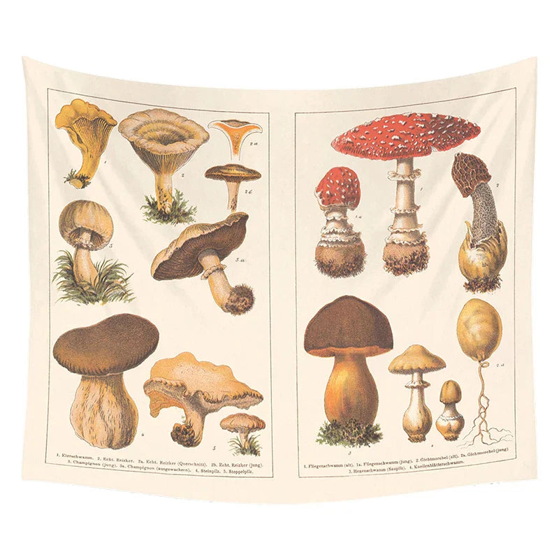 Decobites Mushroom Identification Chart Wall Art - Mycology Champignon Illustration Boho Decor