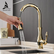 Grifo de Cocina Oro Decorbites™ Asa Única con Extracción y Giro Mezclador de Agua