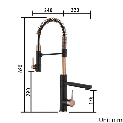 DecorBites™ Brushed Gold Kitchen Faucet with Pull Down Black Spring Spout - Hot Cold Mixer