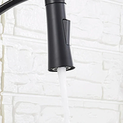 DecorBites™ Kitchen Faucet Sprayer Nozzle Replacement, Oil Rubbed Bronze Finish