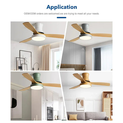 DecorBites™ Low Profile Ceiling Fan Light with Black ABS Blades and Control - Indoor Use