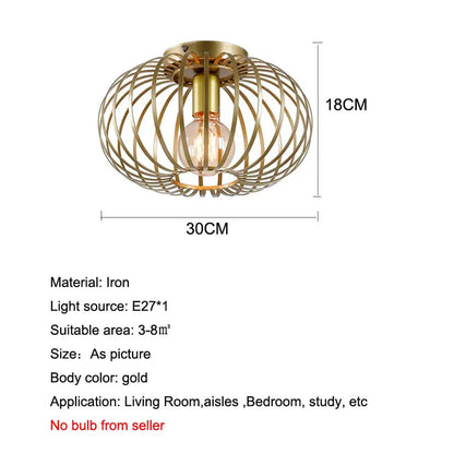 DecorBites™ Iron Art Ceiling Light for Living Room Bedroom Hallway Kitchen Balcony