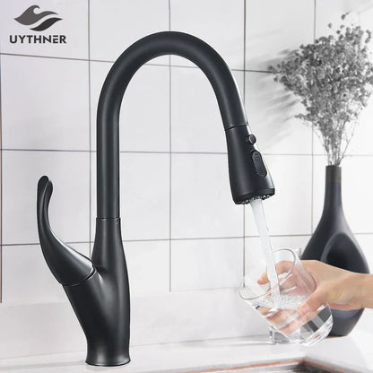 DecorBites™ Kitchen Faucet: Chrome/Black Pull Out Mixer with 2 Function Spout