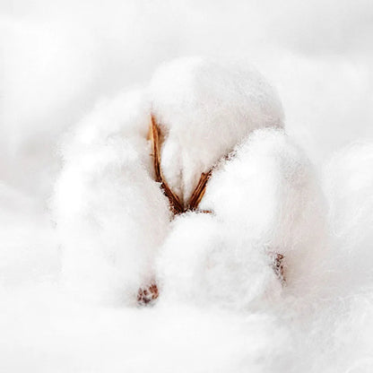 DecorBites™ 120S Long Staple Cotton Satin Embroidery Bedding Set - Solid Color Twin Full Double Comforter