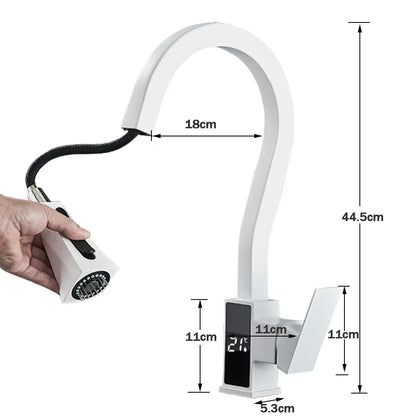 DecorBites™ Black Brass Kitchen Faucet with Digital Temperature Display & Dual Water Sprayer