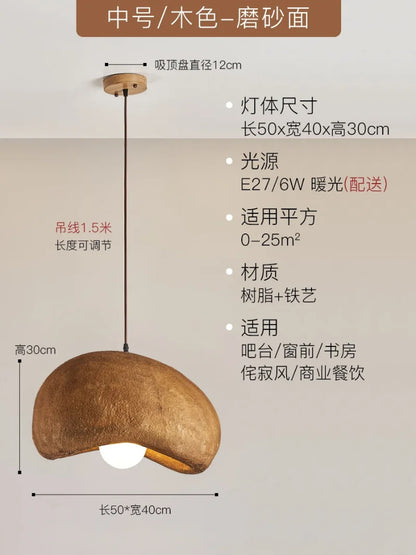 DecorBites™ Japanese Resin Pendant Lights for Dining Room Home Decor - Creative Luminaire Suspendu