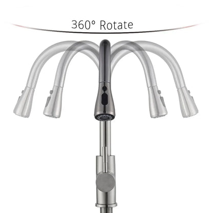 DecorBites™ Brushed Nickel Kitchen Faucet with Flexible Pull Out Nozzle and Stream Sprayer