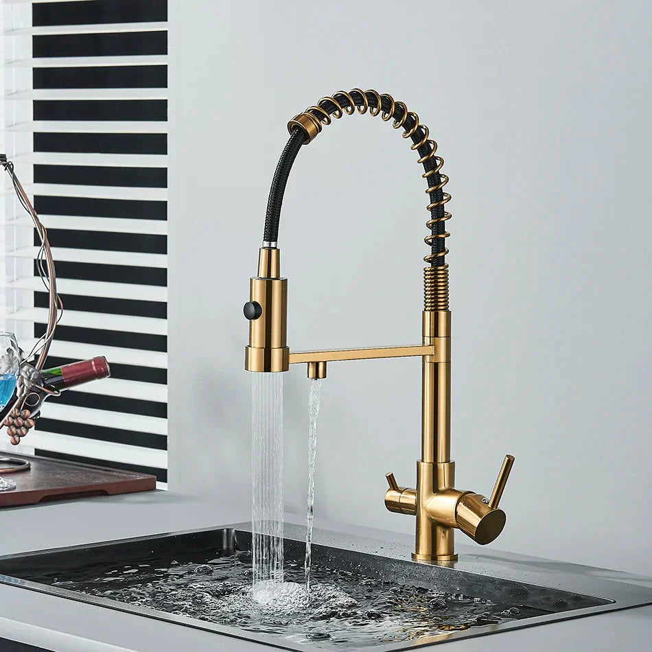 DecorBites™ Dual Spout Kitchen Water Filter Faucet with Rotation Water Purification Feature