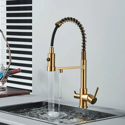 DecorBites™ Dual Spout Kitchen Water Filter Faucet with Rotation Water Purification Feature