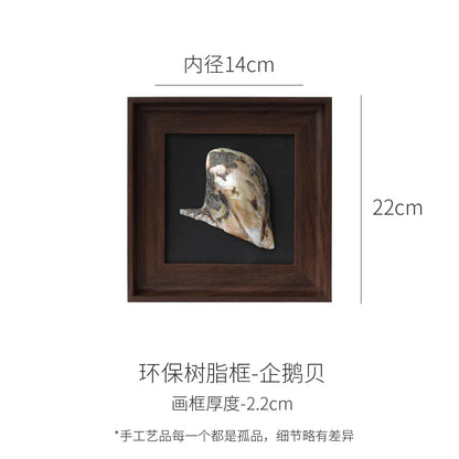 Adornos de pared colgantes con marco decorativo de concha de caracola DecorBites™