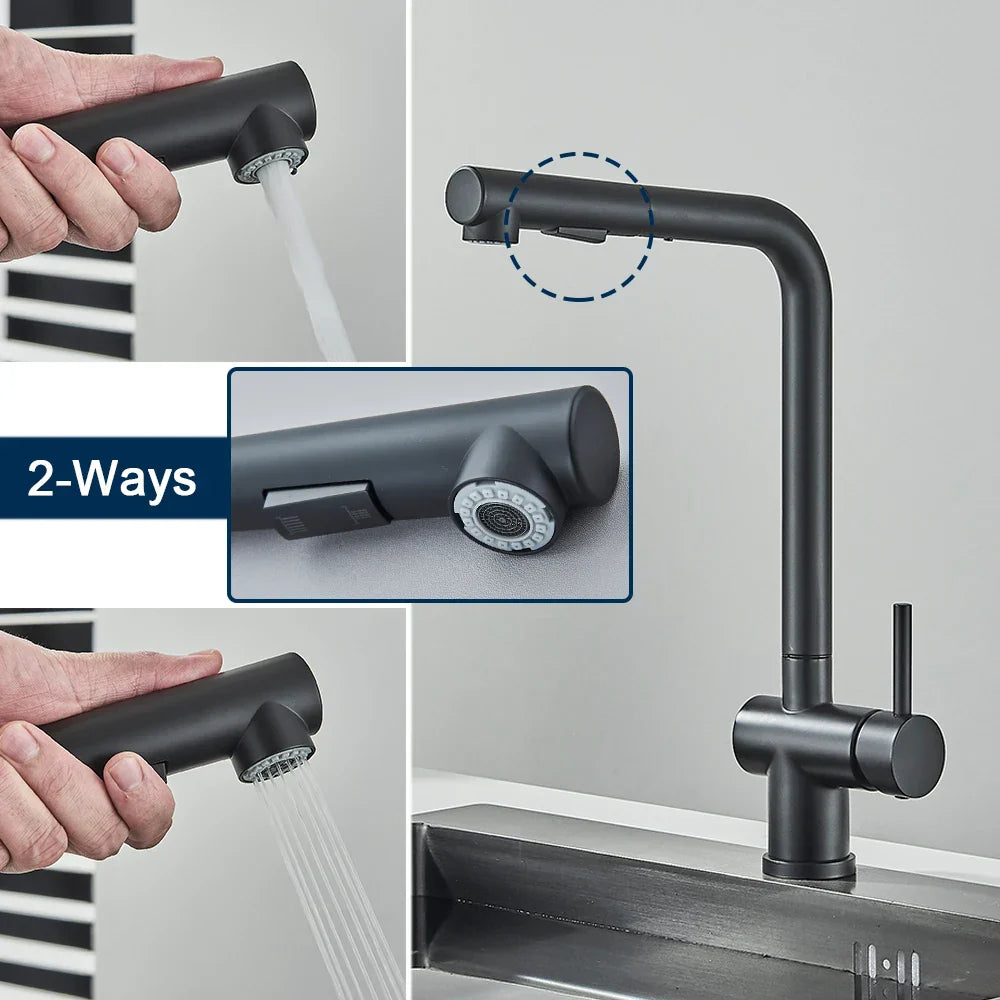 DecorBites™ Black Gourmet Kitchen Faucet with Flexible Sprayer and Dual Nozzle