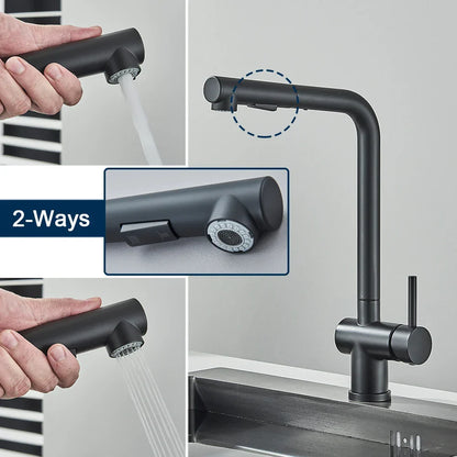 DecorBites™ Black Gourmet Kitchen Faucet with Flexible Sprayer and Dual Nozzle