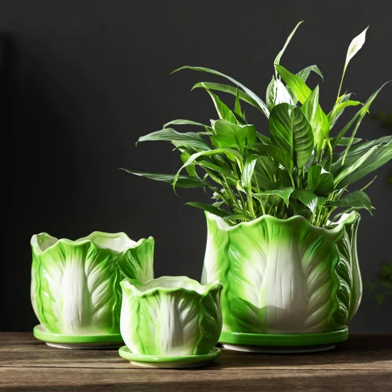 DecorBites™ Cabbage Flowerpot with Tray | Creative Cartoon Vegetable Basin | Indoor Garden Flower Vase