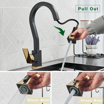 DecorBites™ Black Gold Kitchen Faucet with Flexible Pull Down Sprayer