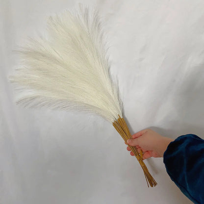 DecorBites™ Fluffy Pampas Grass Boho Decor Pampas Grass.