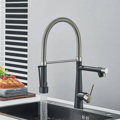 DecorBites™ Brass Pull Down Kitchen Faucet Dual Spout Sprayer Mixer Tap