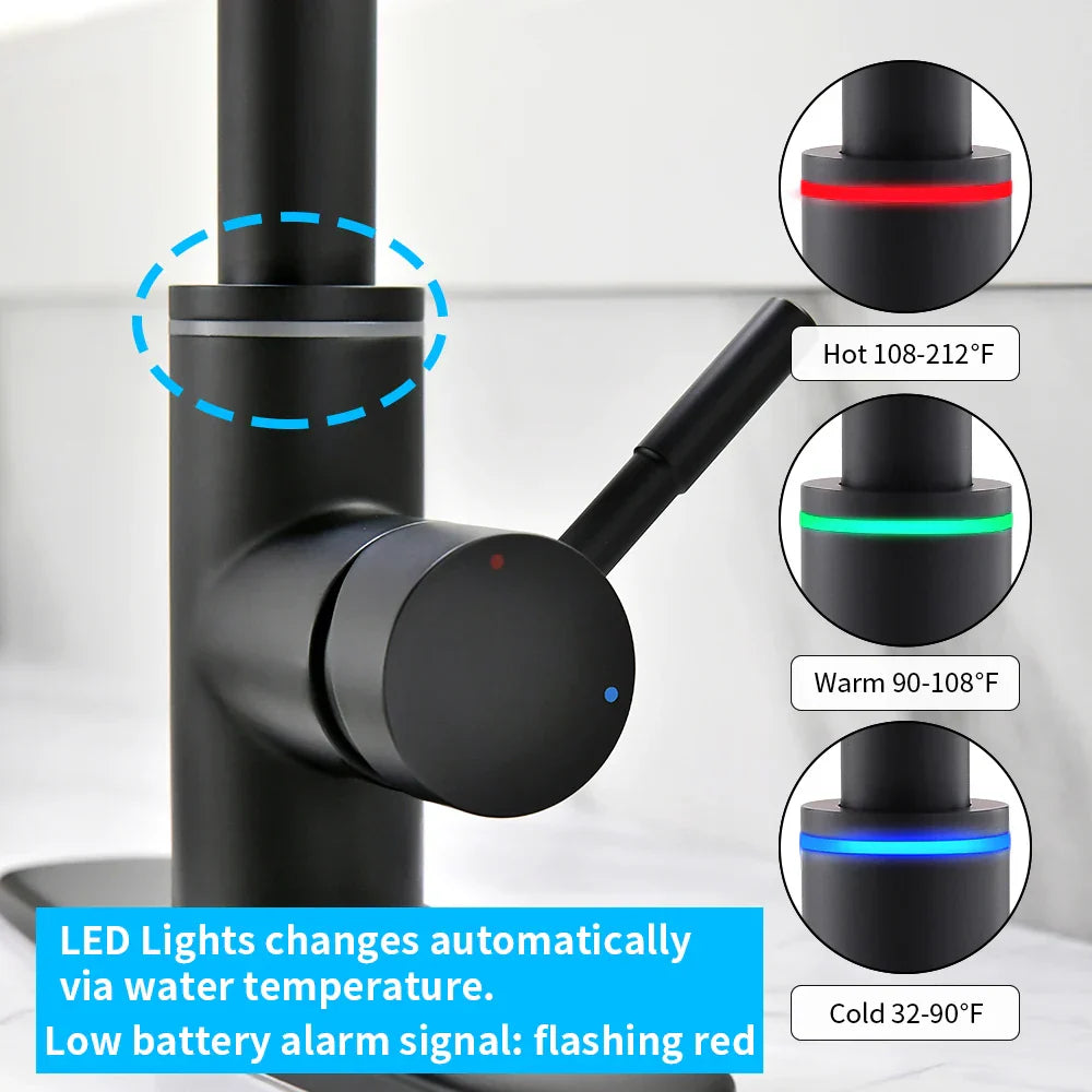 DecorBites™ Black Brass LED Kitchen Faucet, Single Handle Hot&Cold Water Mix Tap