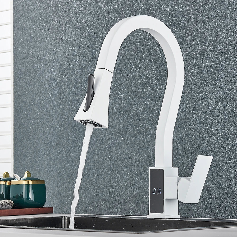 DecorBites™ Black Brass Kitchen Faucet with Digital Temperature Display & Dual Water Sprayer