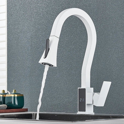 DecorBites™ Black Brass Kitchen Faucet with Digital Temperature Display & Dual Water Sprayer