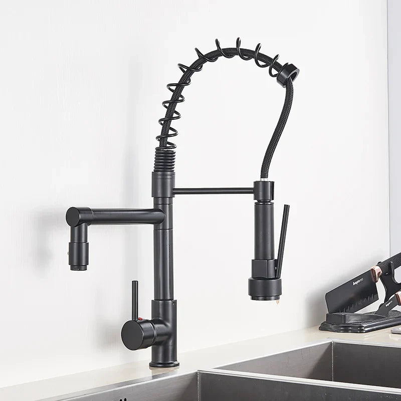DecorBites™ Kitchen Faucet Pull Out Dual Spout Single Handle Mixer Tap 360 Rotation