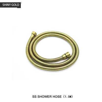 DecorBites™ Brass Handheld Shower Head in Brushed Golden Finish