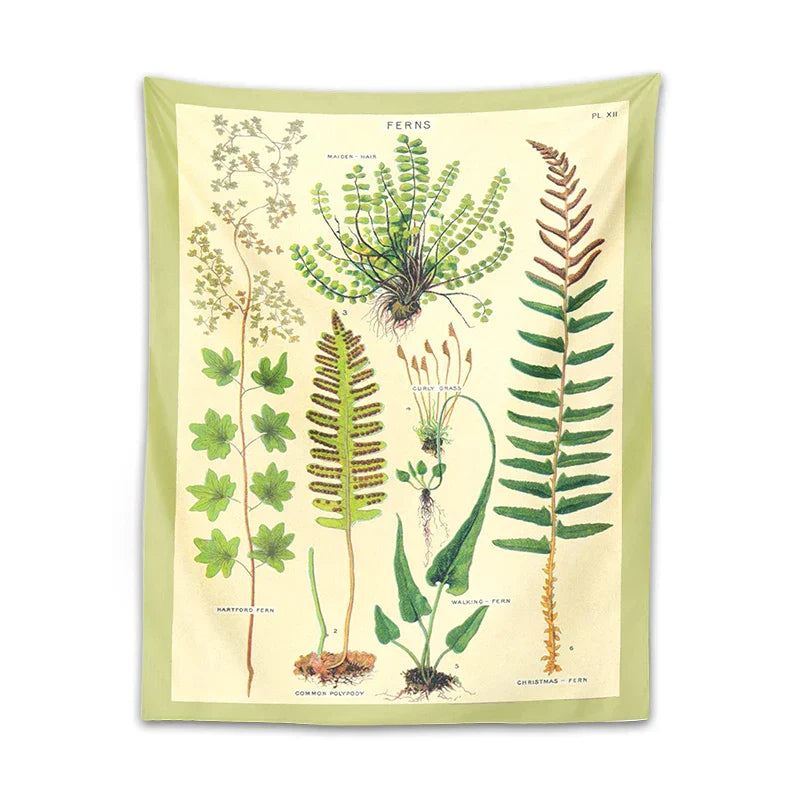 Decobites Ferns Tapestry: Botanical Floral Illustration Chart Wall Art - Boho Decor