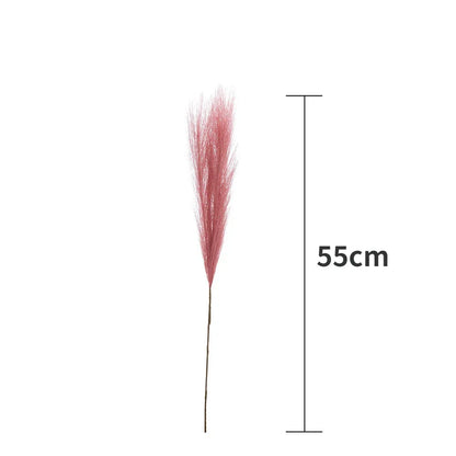DecorBites™ Fluffy Pampas Grass Boho Decor Pampas Grass.