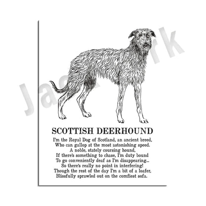 DecorBites™ Dog Breed Poster featuring Rhodesian Ridgeback, Havanese, and More