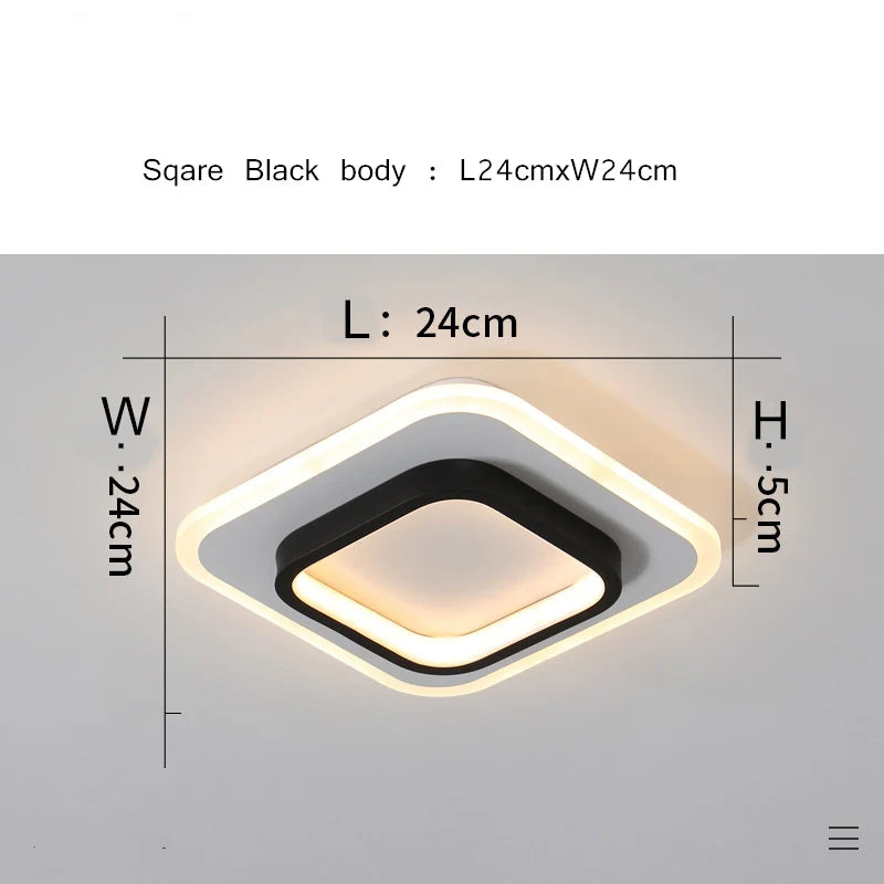 Modern Aisle Ceiling Light