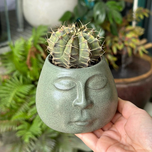 DecorBites™ Abstract Face Ceramic Flowerpot Vase Ashtray Plant Home Decor Accessories