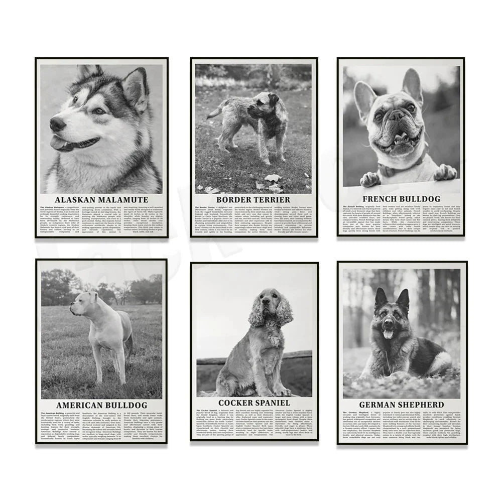DecorBites™ Black & White Dog Breeds Poster: Greyhound, Cocker Spaniel, Akita, Malamute, Cattle Dog