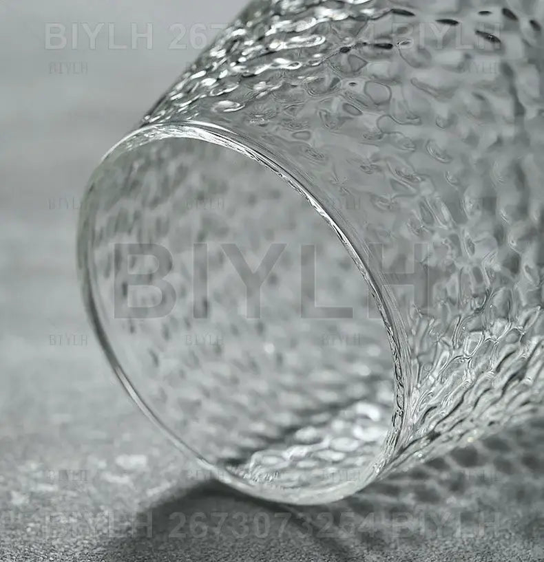 DecorBites™ Hydroponic Glass Flower Pots - Set of 2