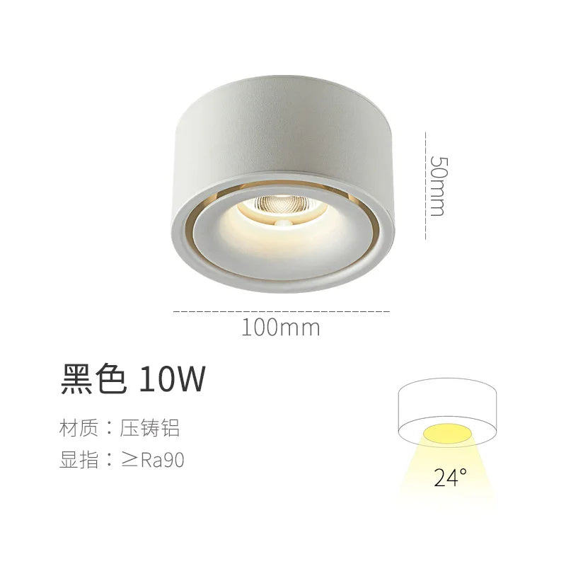 Aluminum Spotlight Ceiling Lamp