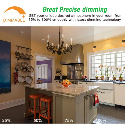 DecorBites™ Frosted Led Candle Light Bulbs Dimmable E12 E14 Base Warm White 2700K