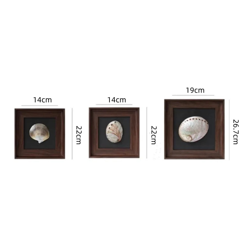 Adornos de pared colgantes con marco decorativo de concha de caracola DecorBites™