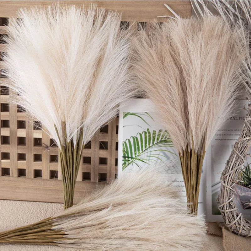 DecorBites™ Fluffy Pampas Grass Boho Decor Pampas Grass.