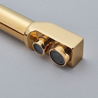 DecorBites™ Dual Outlet Gold Kitchen Faucet for Purified Water Hot & Cold Basin Sink