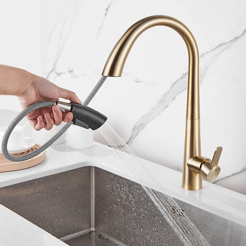 DecorBites™ Black Brushed Gold Kitchen Faucet with Pull Out Spring Spout