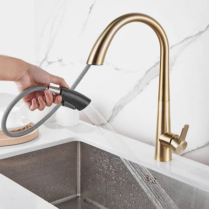 DecorBites™ Black Brushed Gold Kitchen Faucet with Pull Out Spring Spout