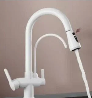 DecorBites™ Antique Brass 2-in-1 Kitchen Faucet with Pull Out Nozzle and Purification