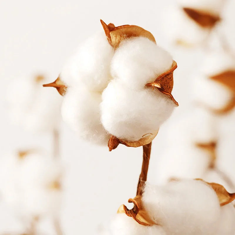 Sábana ajustable individual DecorBites™ con estampado de amor, de algodón: antideslizante, antipolvo y de lujo.