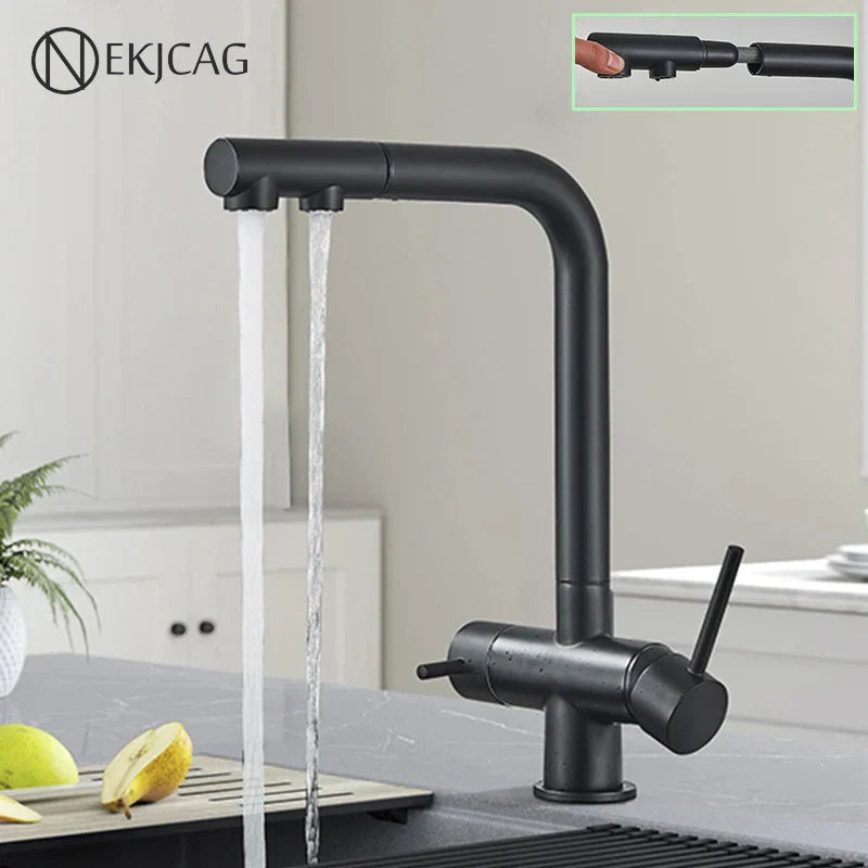 DecorBites™ Kitchen Faucet with Water Filter Tap and Dual Sprayer
