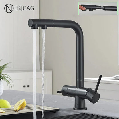 DecorBites™ Kitchen Faucet with Water Filter Tap and Dual Sprayer