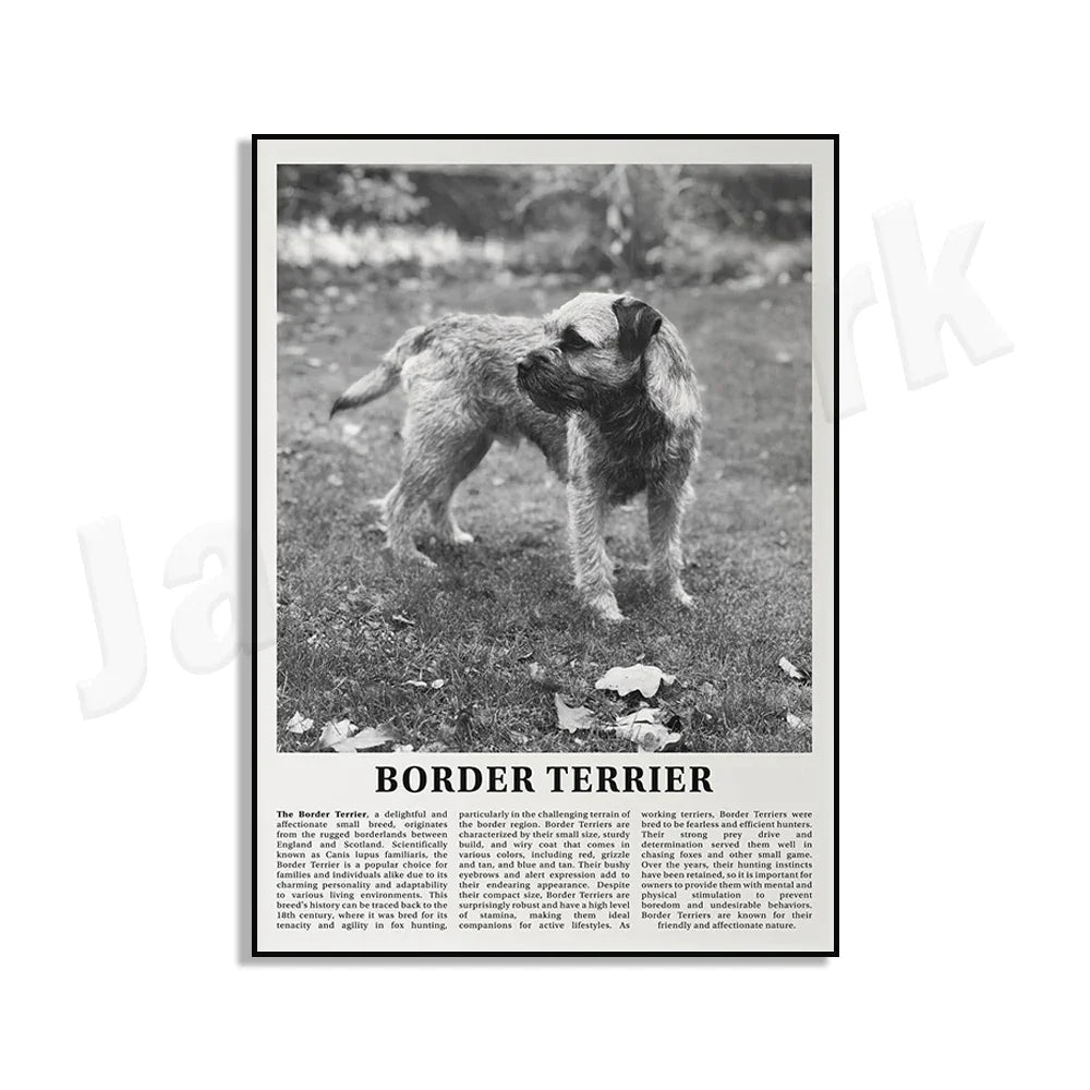 DecorBites™ Black & White Dog Breeds Poster: Greyhound, Cocker Spaniel, Akita, Malamute, Cattle Dog